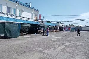  &copy;&nbsp;Фото Елены Малышевой, Юга.ру