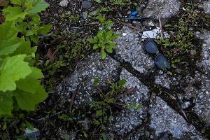  © Фото со страницы Владимира Вербицкого в фейсбуке, facebook.com/vladimir.verbitskiy