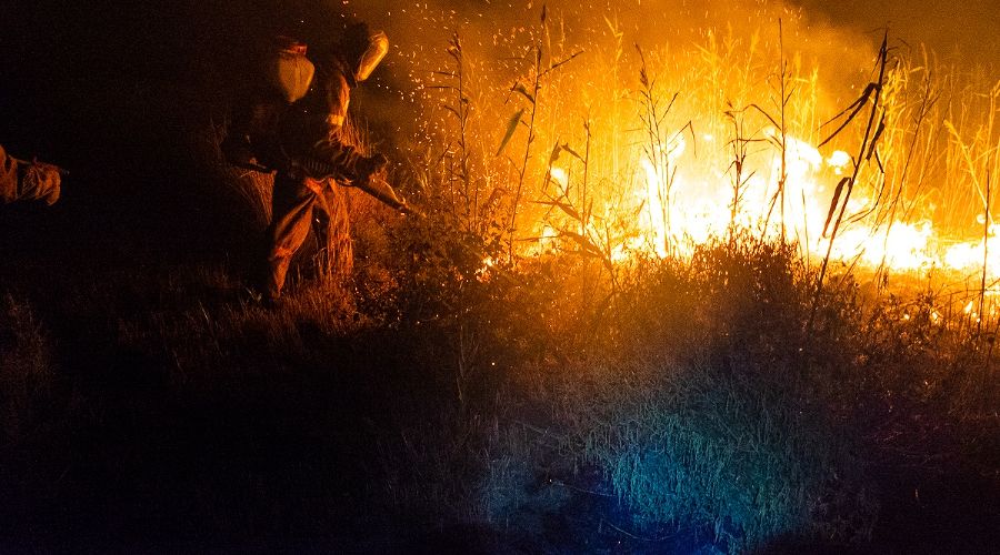  © Фото Каси Кульковой