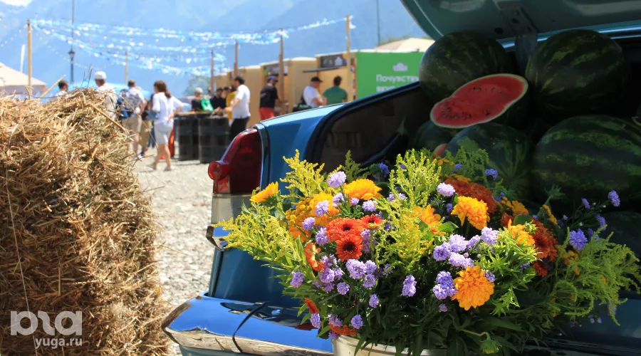 Гастрофест на «Роза Хутор» &copy;&nbsp;Фото Марины Солошко, Юга.ру