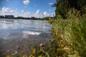  &copy;&nbsp;Фото Елены Синеок, Юга.ру