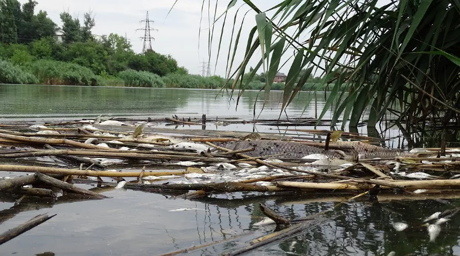  &copy;&nbsp;Фото с сайта ewnc.org