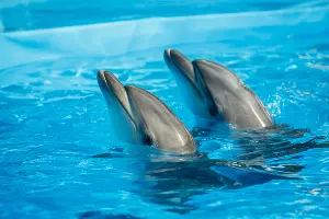  &copy;&nbsp;Фото Николая Ильина, Юга.ру