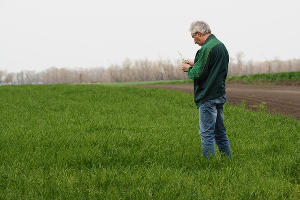 © Фото Виталия Тимкива, Юга.ру
