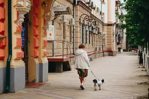  &copy;&nbsp;Фото Дениса Яковлева, Юга.ру