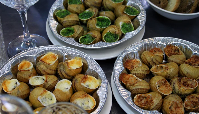 Эскарго по-кубански: как в Тихорецке выращивают улиток для французского деликатеса