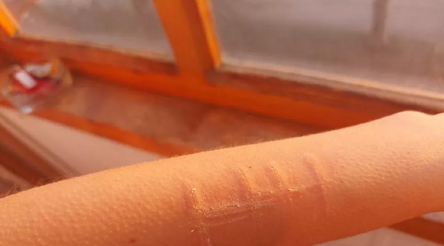  &copy;&nbsp;Фото из твиттера Ксении Середкиной, twitter.com/kseryodkina