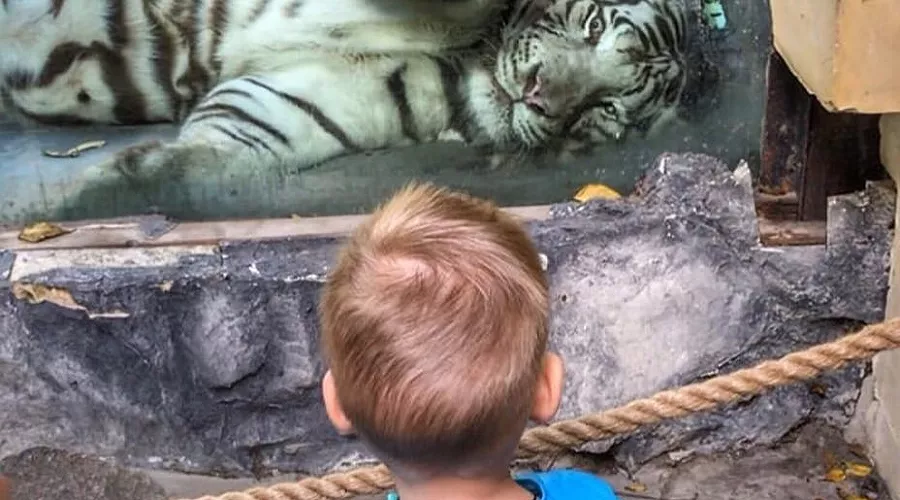  &copy;&nbsp;Фото из инстаграма &laquo;Сафари-парка&raquo;, instagram.com/safari_park93