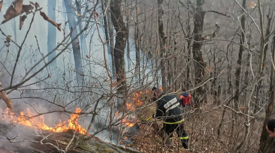  &copy;&nbsp;Фото пресс-службы ГУ МЧС России по Краснодарскому краю