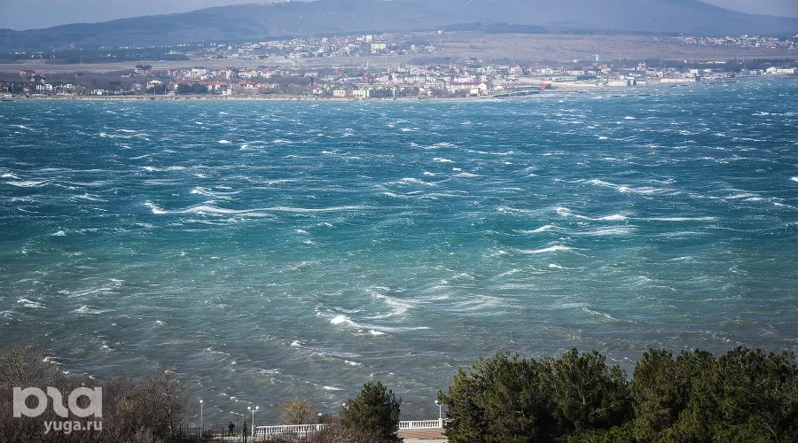  &copy;&nbsp;Фото Елены Синеок, Юга.ру