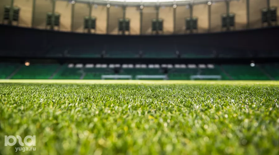  &copy;&nbsp;Фото Елены Синеок, Юга.ру