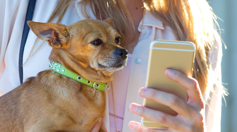  &copy;&nbsp;Фото пользователя nensuria с сайта freepik.com