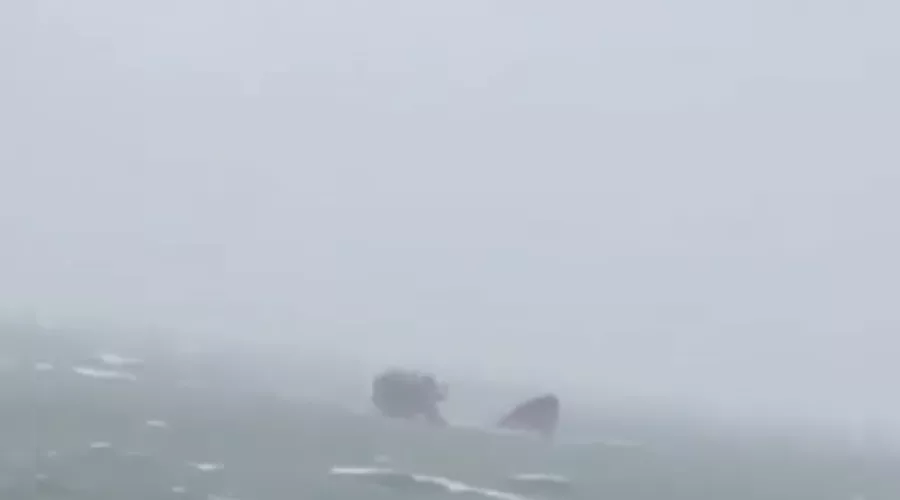  &copy;&nbsp;Кадр из видео телеграм-канала t.me/love_sochi