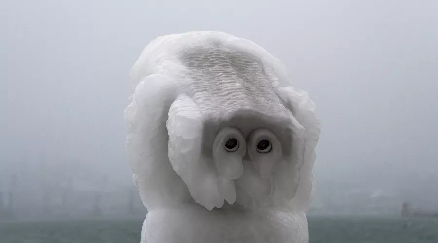  &copy;&nbsp;фото Sega Black-Sea https://vk.com/segablacksea