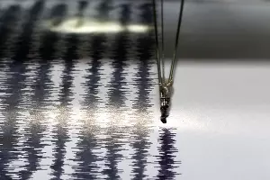  &copy;&nbsp;Фото с сайта ntv.ru