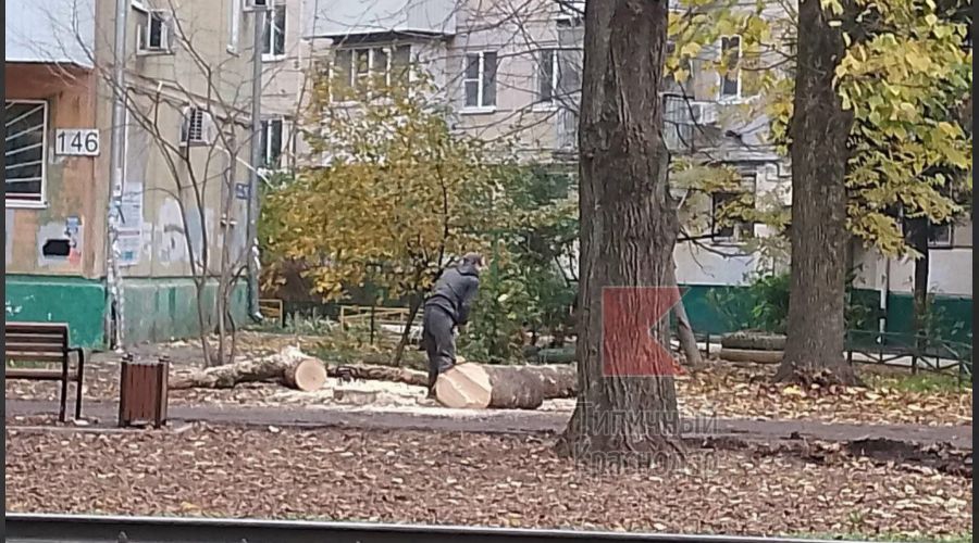  © Скриншот из телеграм-канала «Типичный Краснодар» https://t.me/krd_tipich_ru/89784