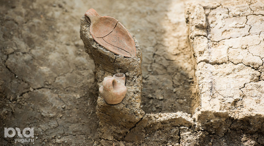  © Фото Елены Синеок, Юга.ру