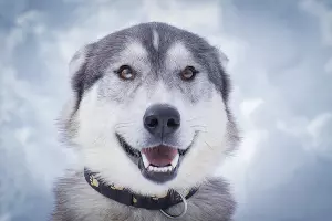  &copy;&nbsp;Фото пресс-службы Кавказского заповедника