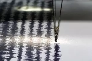  &copy;&nbsp;Фото с сайта ntv.ru