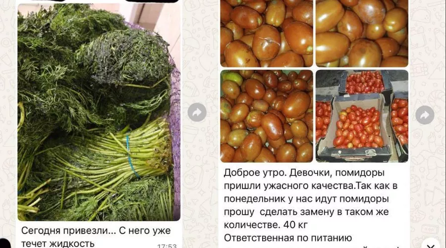  &copy;&nbsp;Скриншот фото из телеграм-канала &laquo;Красный темник (Александр Сафронов)&raquo;