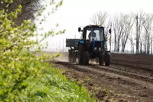  &copy;&nbsp;Фото Виталия Тимкива, Юга.ру