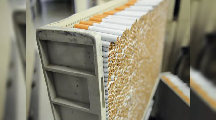  &copy;&nbsp;Фото Елены Синеок, Юга.ру