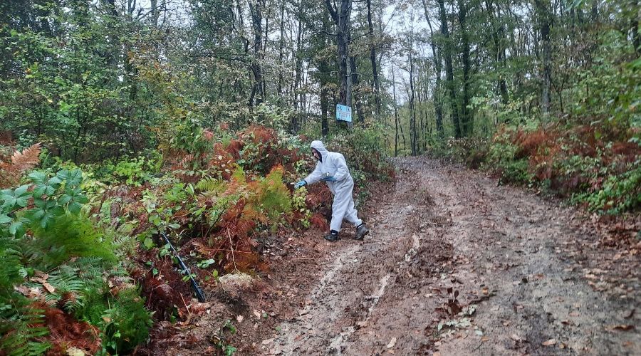  © Фото предоставлено Сочинским нацпарком