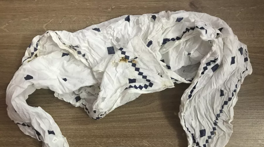  &copy;&nbsp;Фото пресс-службы СУ СК РФ по Ставропольскому краю