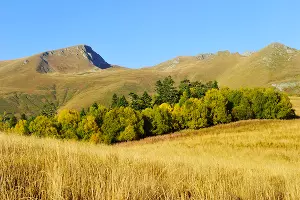  &copy;&nbsp;Фото Сергея Трепета, предоставлено пресс-службой ФГБУ &laquo;Кавказский биосферный заповедник&raquo;