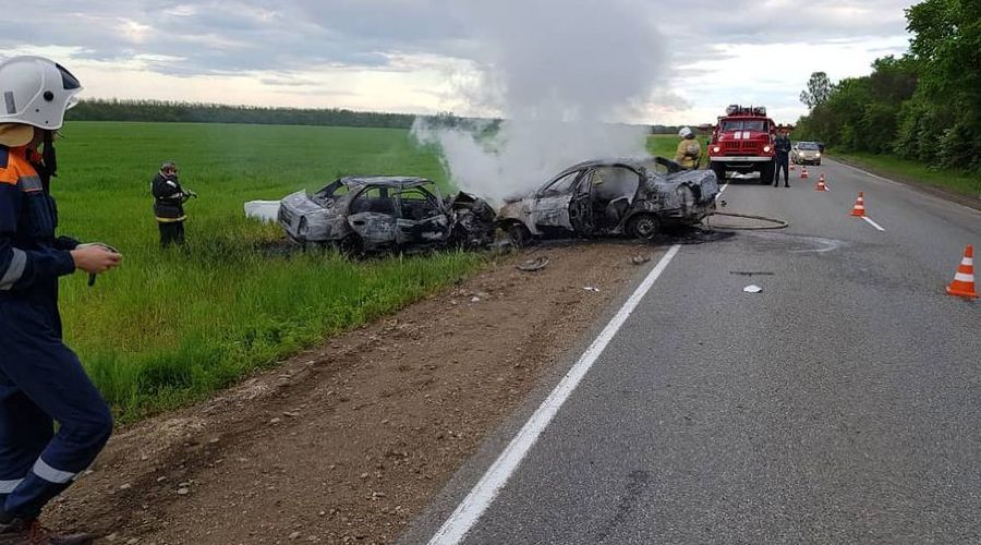  © Фото ОГИБДД МВД Белореченского района