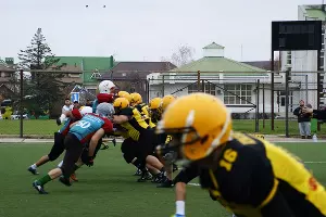 ФК «Краснодарские бизоны» &copy;&nbsp;Фото пресс-службы ФК &laquo;Краснодарские бизоны&raquo;