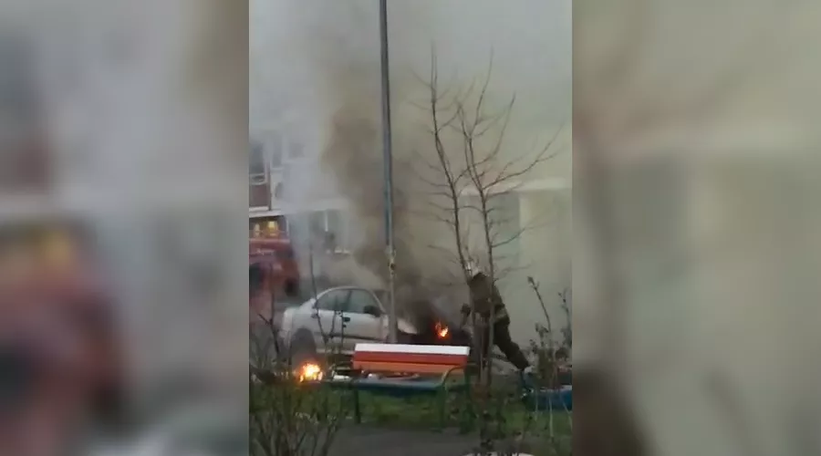  &copy;&nbsp;Скриншот из видео www.instagram.com/typodar