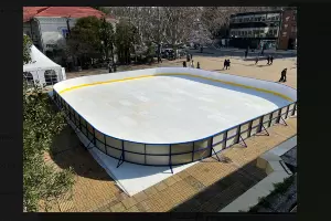  &copy;&nbsp;Скриншот фото из телеграм-канала &laquo;МЦУ Сочи&raquo;