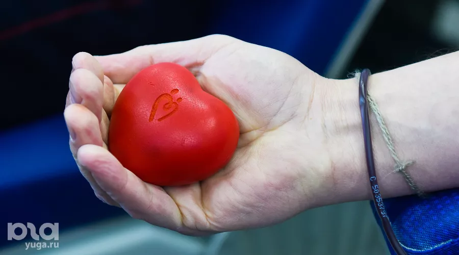  &copy;&nbsp;Елена Синеок, Юга.ру