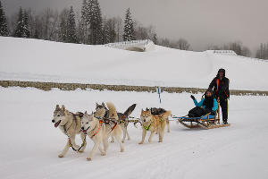 Тест-драйв SKODA Yeti в Красной Поляне &copy;&nbsp;Фото Елены Синеок, Юга.ру