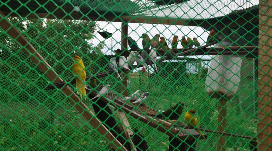  © Фото пресс-службы Пограничного управления ФСБ России по Ростовской области