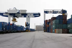  &copy;&nbsp;Фото пресс-службы ОАО &laquo;Новорослесэкспорт&raquo;