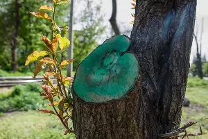  &copy;&nbsp;Фото Евгения Мельченко, Юга.ру