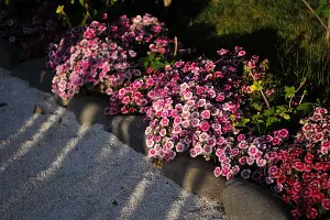 А так украшены дорожки в этой локации &copy;&nbsp;Фото Марины Солошко, Юга.ру