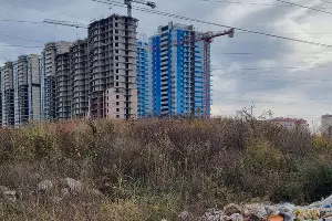  &copy;&nbsp;Фото Анастасии Рассказовой