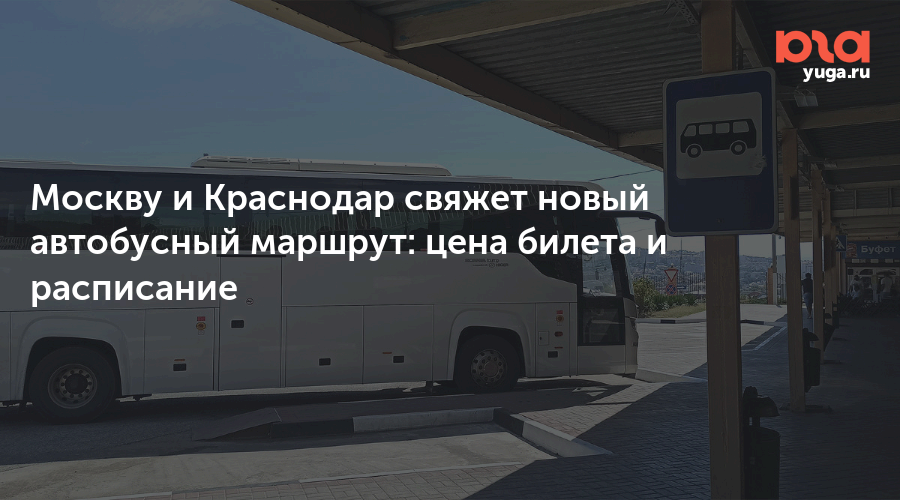 Москву и Краснодар свяжет новый автобусный маршрут: цена билета и расписание