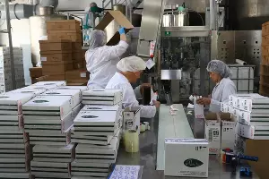  &copy;&nbsp;Фото пресс-службы администрации Краснодара