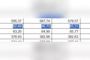  &copy;&nbsp;Скриншот страницы сервиса доставки