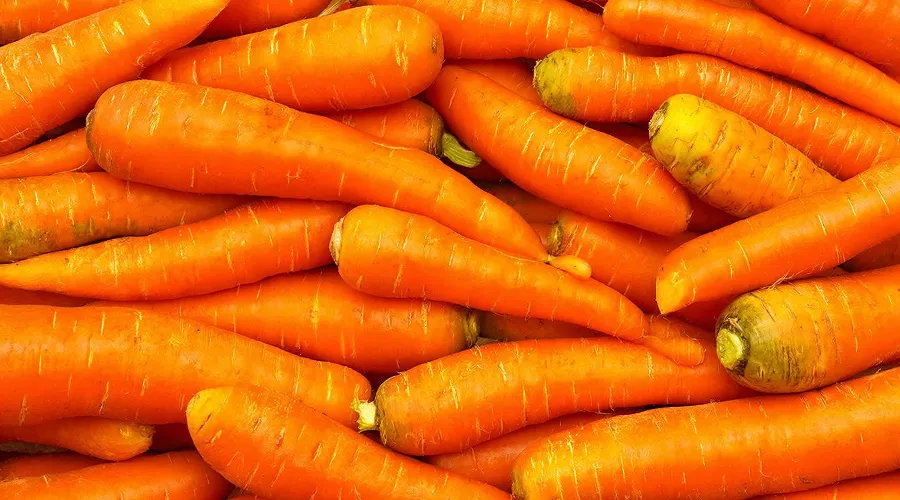 морковь &copy;&nbsp;Изображение сгенерировано нейросетью Gigachat