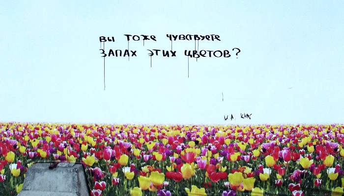 Серия работ «Симуляция благополучия» &copy;&nbsp;Фото из личного архива Максима Алехина