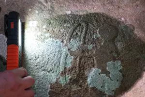  &copy;&nbsp;Скриншот фото с сайта npsochi.ru