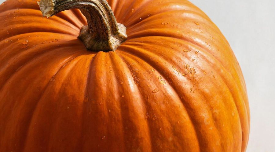 тыква &copy;&nbsp;Изображение сгенерировано нейросетью Gigachat