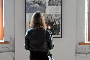 Photovisa-2011 &copy;&nbsp;Елена Синеок. ЮГА.ру