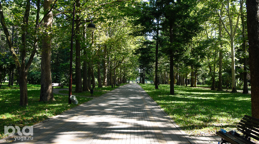  © Фото Елены Синеок, Юга.ру