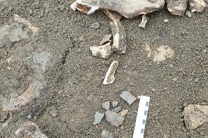  © Фото из аккаунта Рустема Ципинова, www.instagram.com/rustemtsipinov